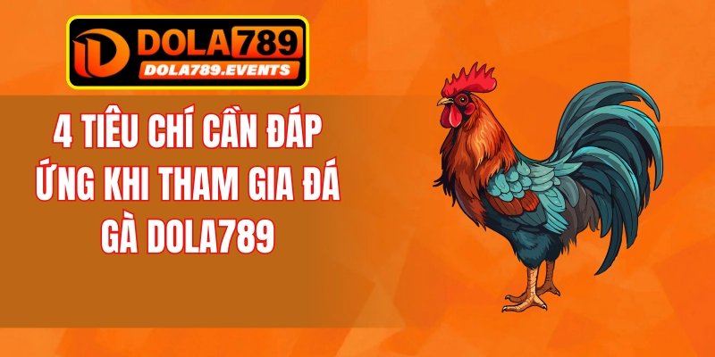 4 tiêu chí cần đáp ứng khi tham gia đá gà DOLA789
