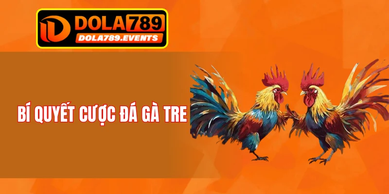 Bí quyết cược đá gà tre
