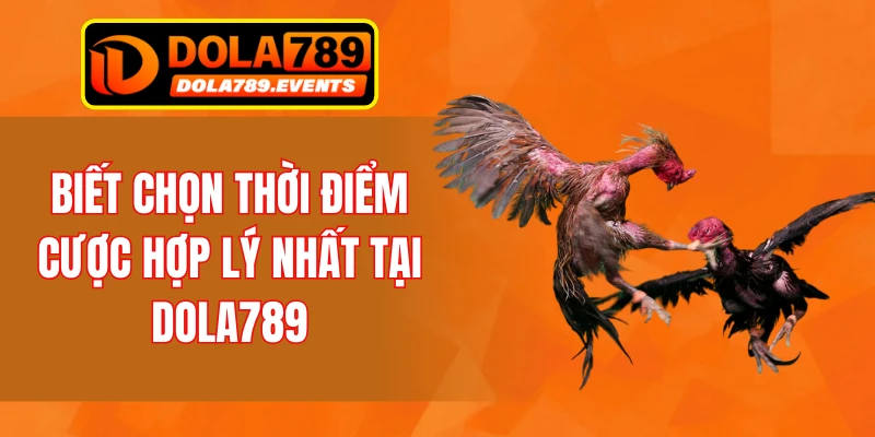 Biết chọn thời điểm cược hợp lý nhất tại DOLA789
