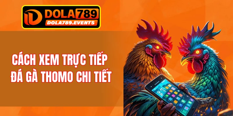 Cách xem trực tiếp đá gà Thomo chi tiết
