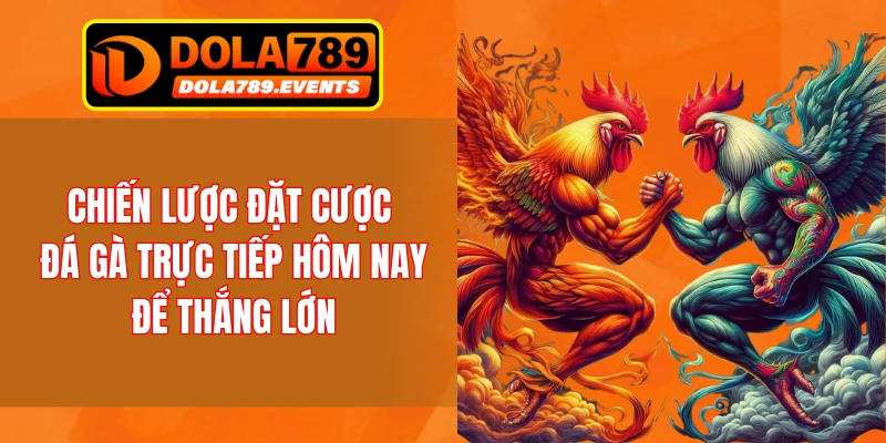 Chiến lược đặt cược đá gà trực tiếp hôm nay để thắng lớn