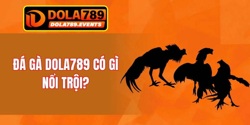 Đá gà DOLA789 có gì nổi trội?