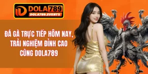 Đá Gà Trực Tiếp Hôm Nay