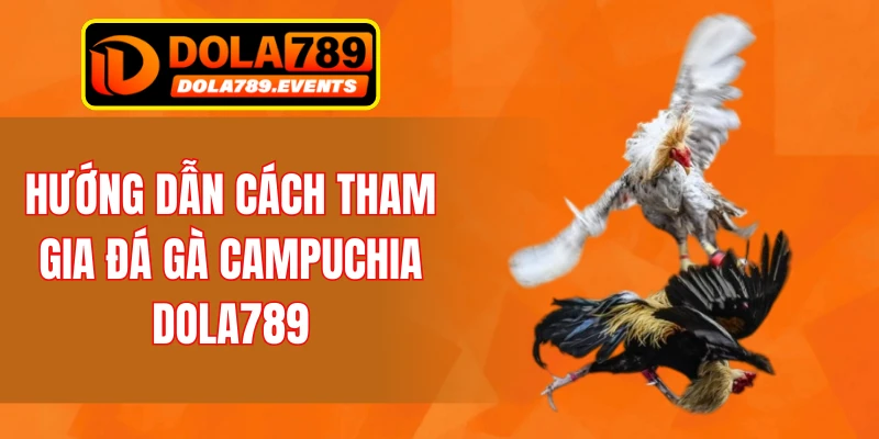 Hướng dẫn cách tham gia đá gà Campuchia DOLA789