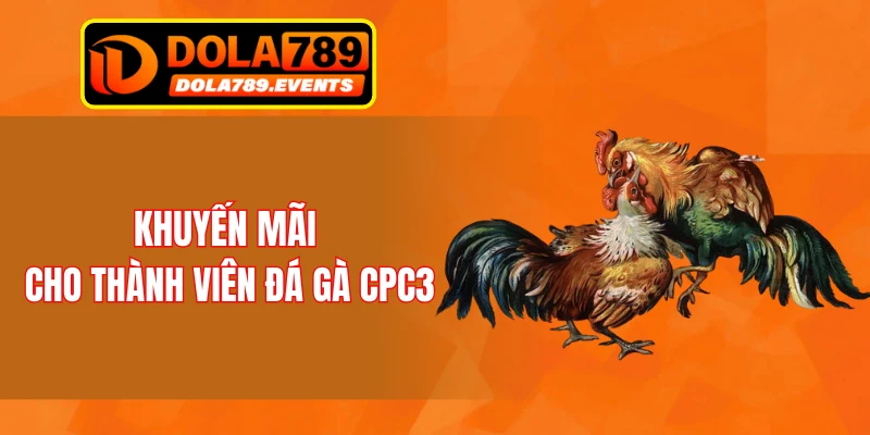 Khuyến mãi cho thành viên đá gà CPC3