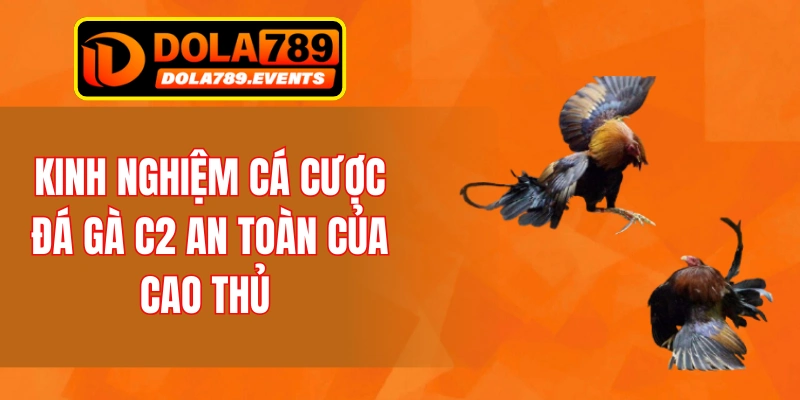 Kinh nghiệm cá cược đá gà C2 an toàn, hiệu quả