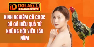 Kinh Nghiệm Cá Cược Đá Gà
