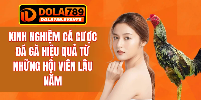 Kinh Nghiệm Cá Cược Đá Gà