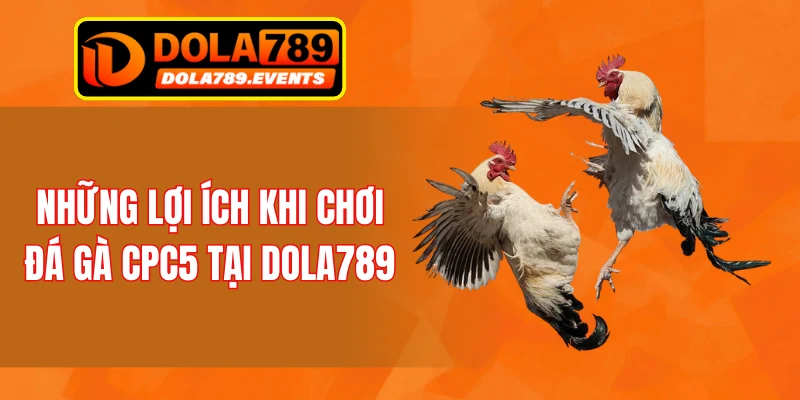 Những lợi ích khi chơi đá gà CPC5 tại DOLA789