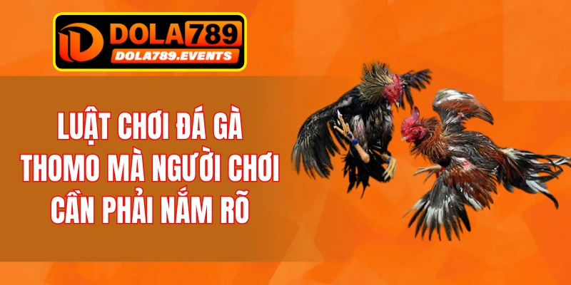 Luật chơi đá gà Thomo mà người chơi cần phải nắm rõ