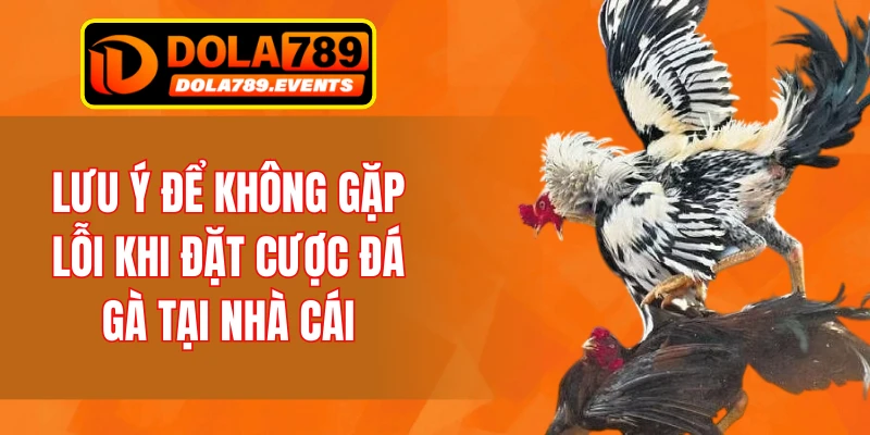 Lưu ý để không gặp lỗi khi đặt cược đá gà tại nhà cái
