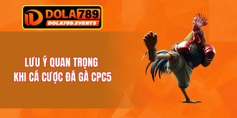 Lưu ý quan trọng khi cá cược đá gà CPC5