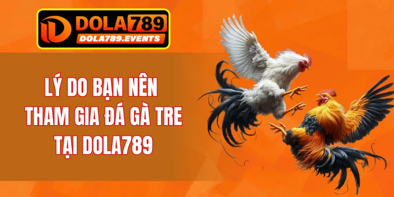 Lý do bạn nên tham gia đá gà tre tại DOLA789