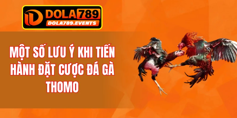 Một số lưu ý khi tiến hành đặt cược đá gà Thomo