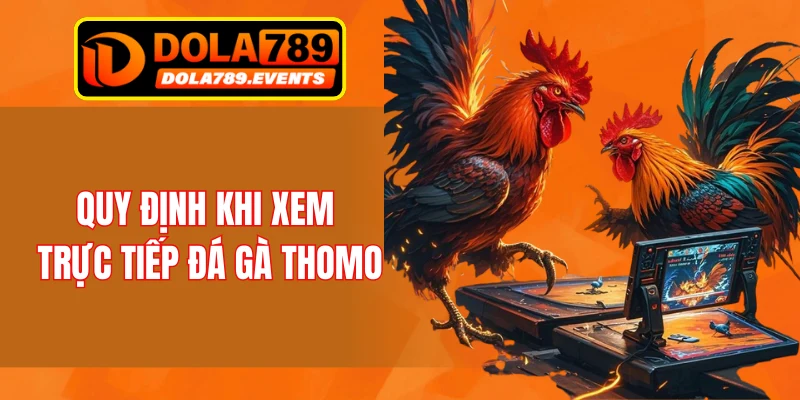 Quy định khi xem trực tiếp đá gà Thomo