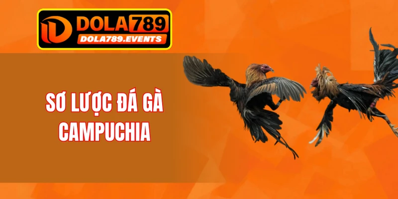 Sơ lược đá gà Campuchia
