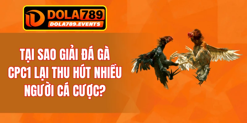 Tại sao giải đá gà CPC1 lại thu hút nhiều người cá cược?