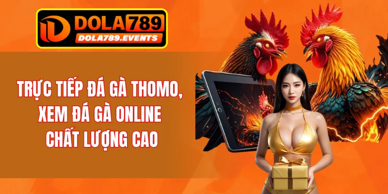 Trực Tiếp Đá Gà Thomo